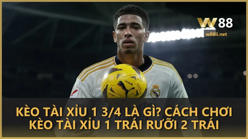 Kèo tài xỉu 1 3/4 là gì? Cách chơi kèo tài xỉu 1 trái rưỡi 2 trái hiệu quả