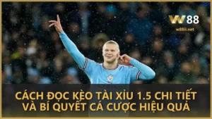 kèo tài xỉu 1.5